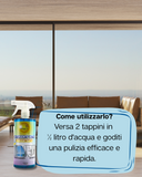kit Detergente vetri+ Panno brillo 3+1
