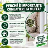 Powerful mold remover for walls and bathroom (eliminates mold and prevents return) | Muffy Clean Turboline