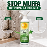 Powerful mold remover for walls and bathroom (eliminates mold and prevents return) | Muffy Clean Turboline